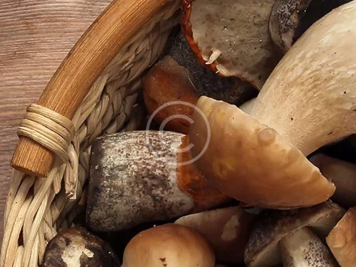 Sautéed Mushrooms